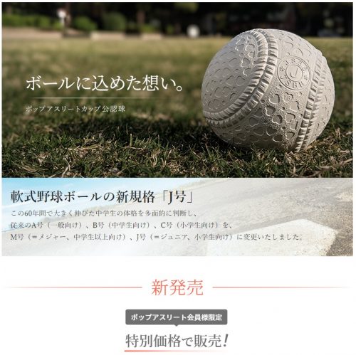 この画像には alt 属性が指定されておらず、ファイル名は naigaiball-1-e1544601903605.jpg です