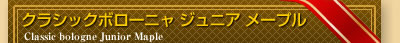クラシックボローニャ ジュニア メープル