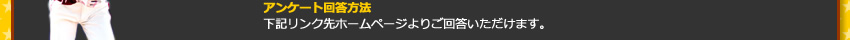 AP[g񓚕@ LNz[y[W育񓚂܂B