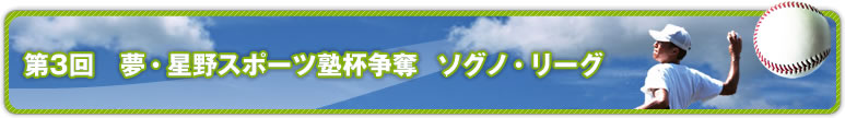 第3回　 夢・星野スポーツ塾杯争奪　ソグノ・リーグ
