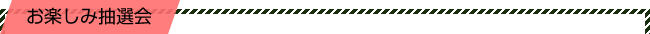 お楽しみ抽選会