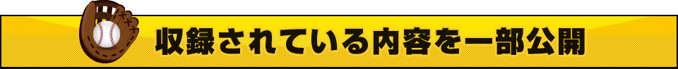 収録されている内容を一部公開