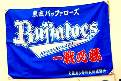 東成バッファローズ