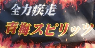 青梅スピリッツ