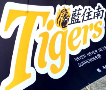 藍住南タイガーススポーツ少年団