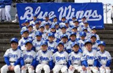 ブルーウィングス
