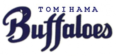 富浜バッファローズ