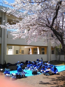 三ヶ丘ブルースターズ