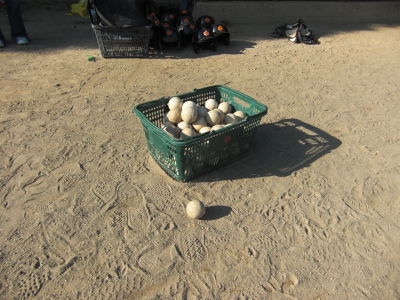 清新ハンターズ