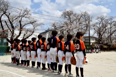 天台バッファローズ