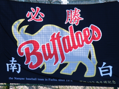 南白バッファローズ