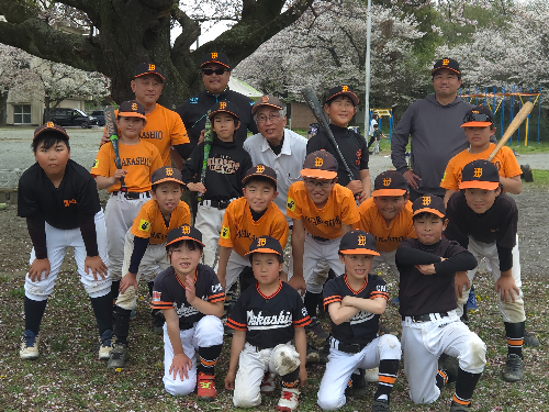 わかしおタイガース