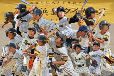 浜脇タイガース