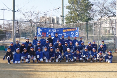 シルバーホークス