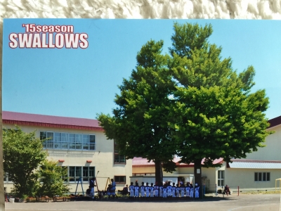 花川スワローズ　スポーツ少年団