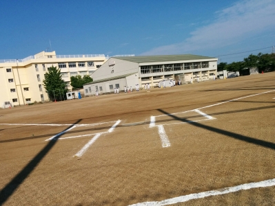 東中野山ブルーシャークス