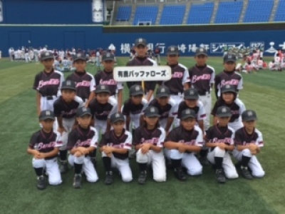 有鹿バッファローズ