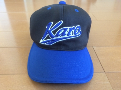 賀露少年野球クラブ