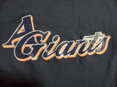 阿賀ジャイアンツ