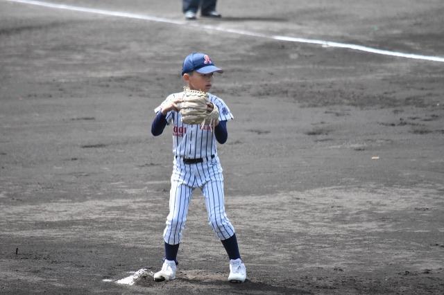 �`�[���ʐ^