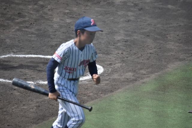 �`�[���ʐ^