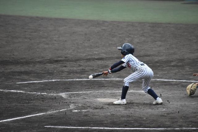 �`�[���ʐ^