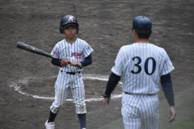 �`�[���ʐ^