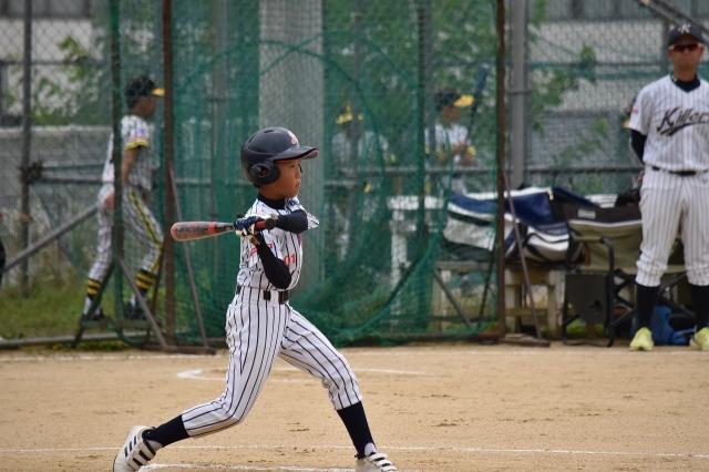 �`�[���ʐ^