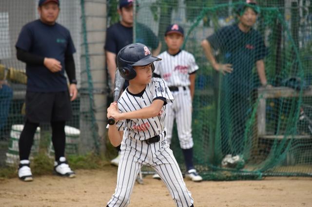 �`�[���ʐ^