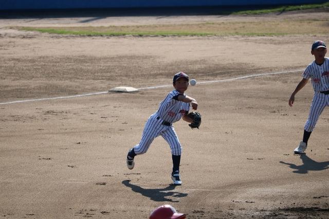 �`�[���ʐ^