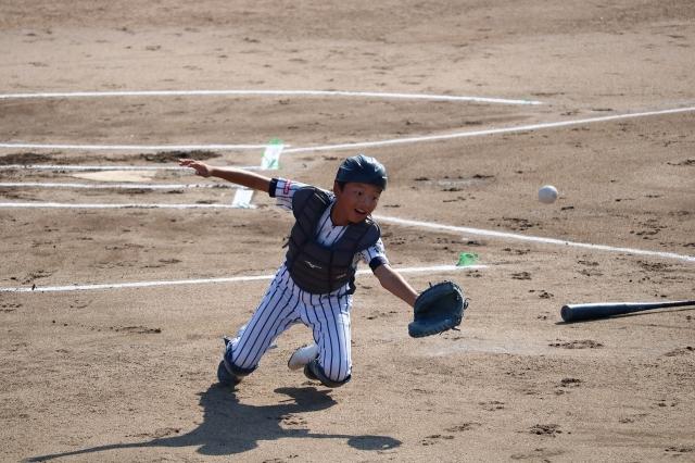 �`�[���ʐ^