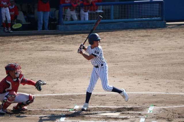 �`�[���ʐ^