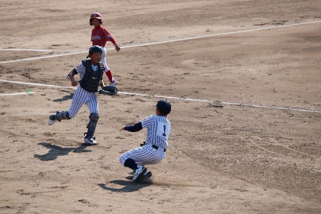 �`�[���ʐ^