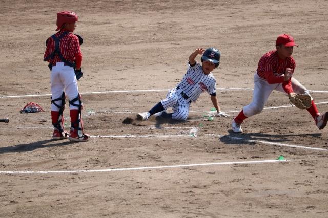 �`�[���ʐ^