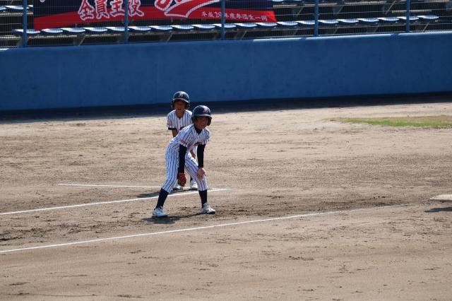 �`�[���ʐ^