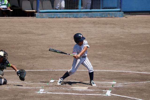 �`�[���ʐ^