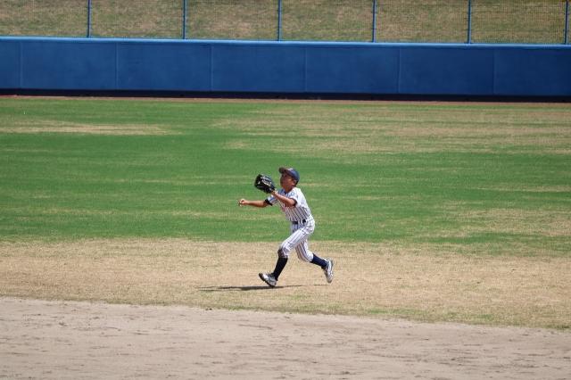 �`�[���ʐ^