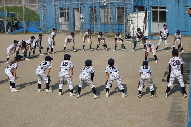 �`�[���ʐ^