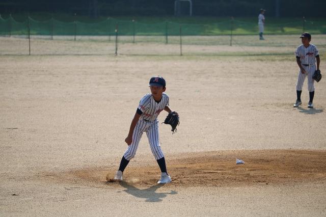 �`�[���ʐ^