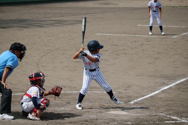 �`�[���ʐ^