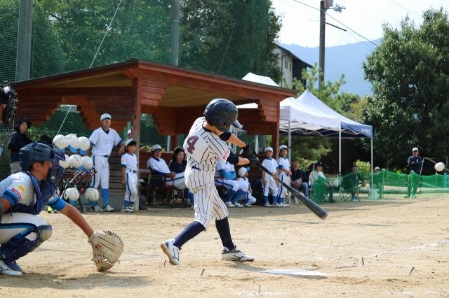 �`�[���ʐ^