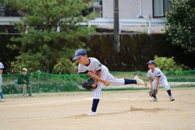 �`�[���ʐ^