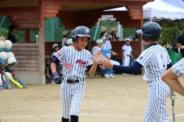 �`�[���ʐ^