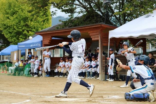 �`�[���ʐ^