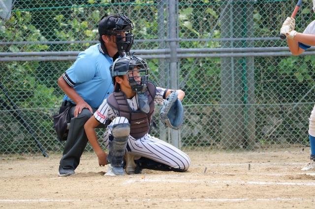 �`�[���ʐ^