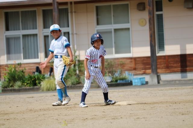 �`�[���ʐ^