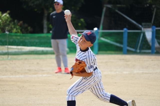 �`�[���ʐ^