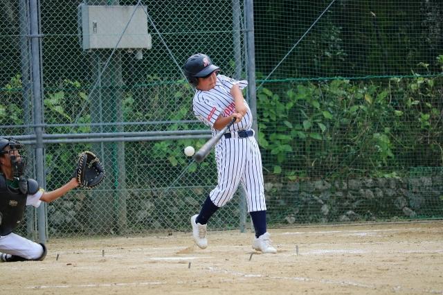 �`�[���ʐ^