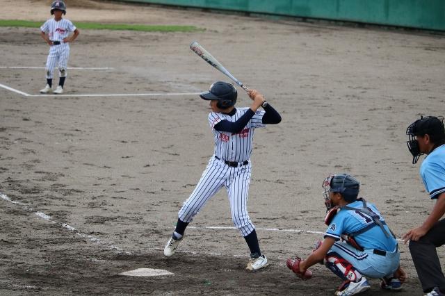 �`�[���ʐ^