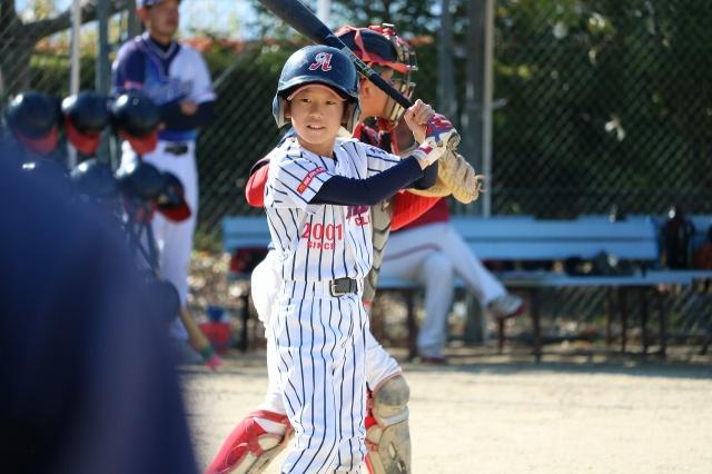 �`�[���ʐ^